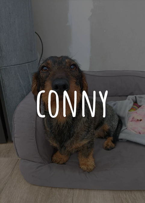 Conny