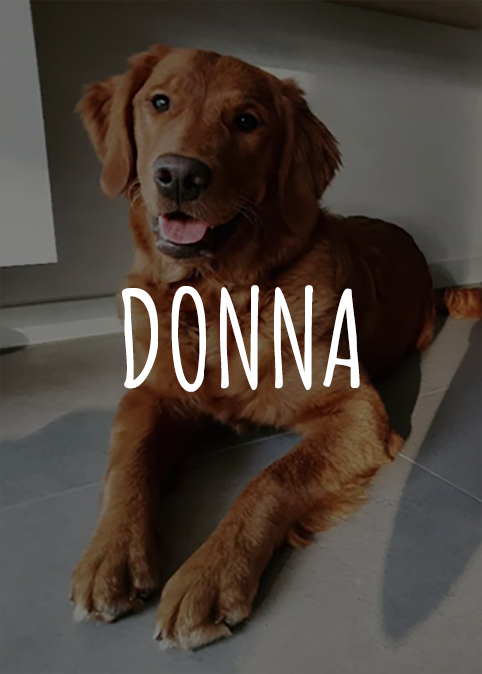 Donna