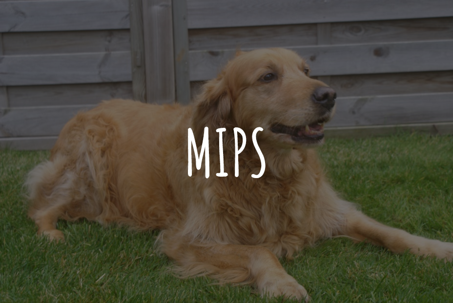 Mips