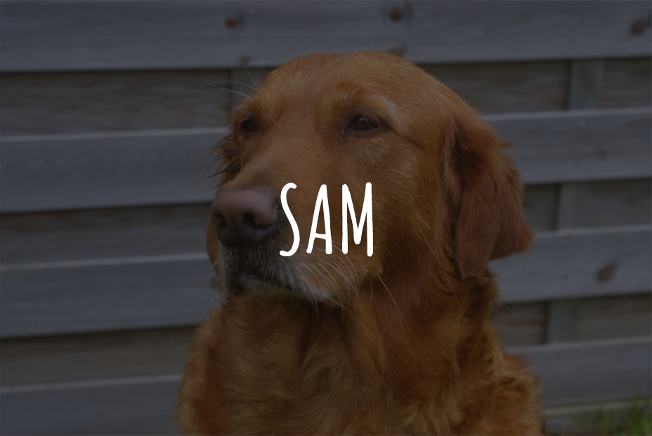 Sam